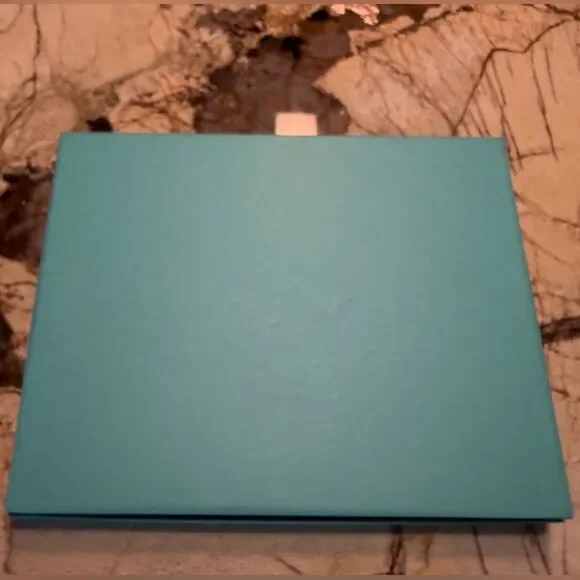 Tiffany & Co Large Black Leather Blue Box 2019 Journal Planner New Never Used - Picture 14 of 14